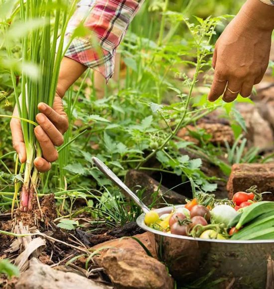 Ecological Farming