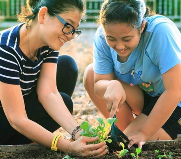 Ditching Tools Made Me a Happier Gardener