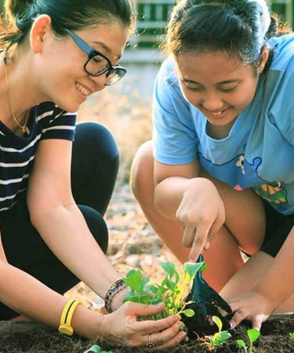 Ditching Tools Made Me a Happier Gardener