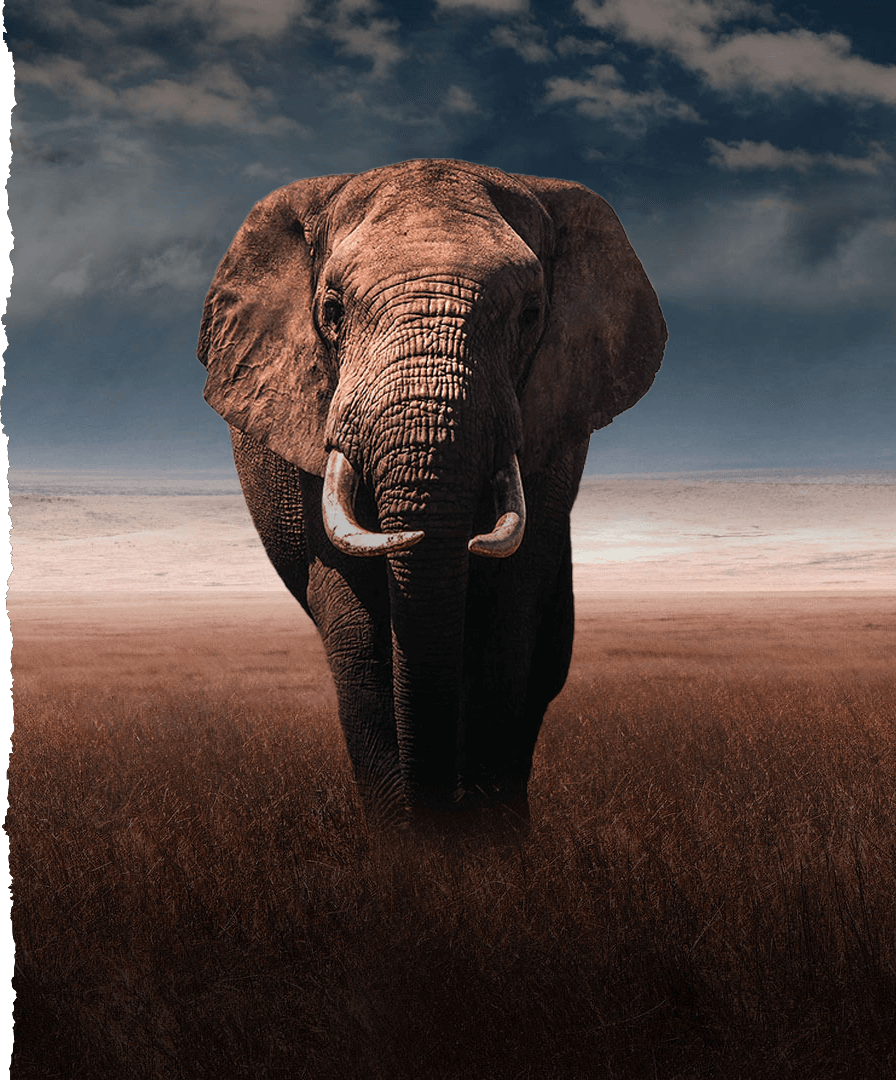 Charety charity and donation banner image for visual engagement