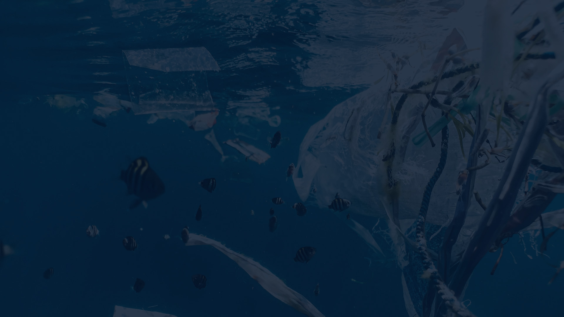 Inspiring background image showcasing Charety’s community support work