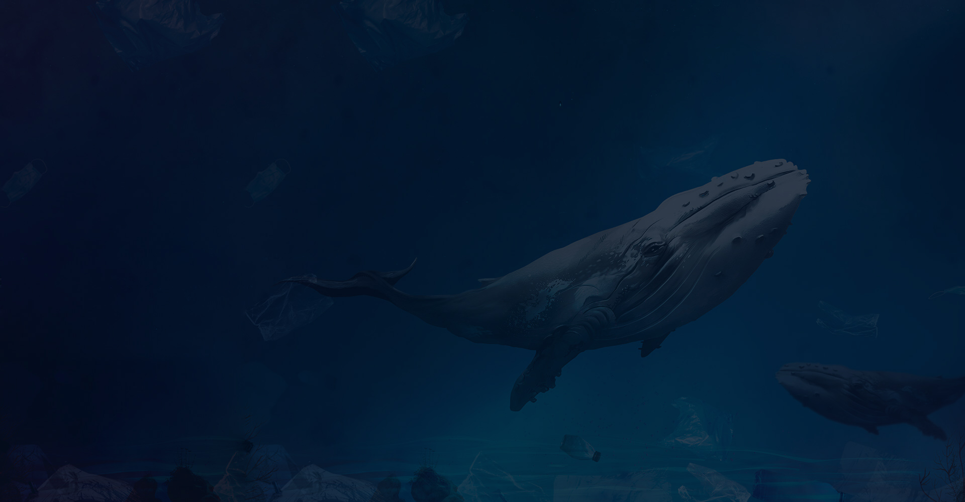 Charety charity and donation banner image for visual engagement