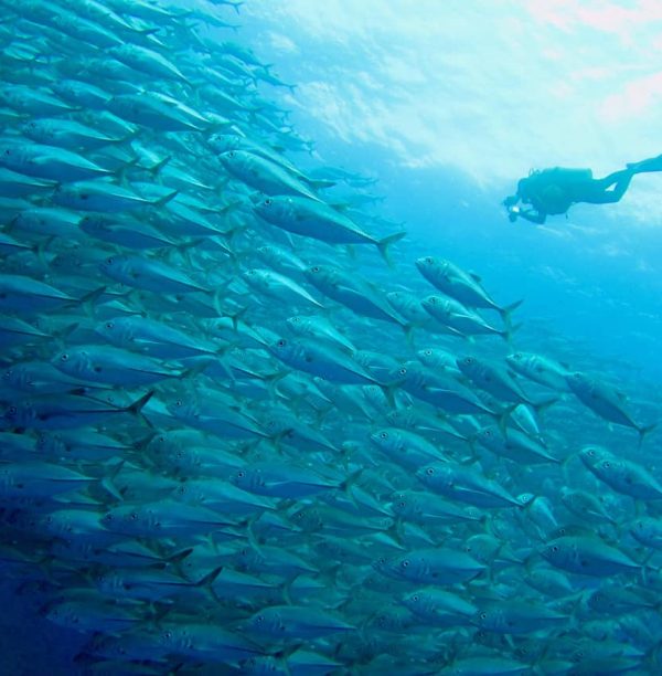 Scuba Diving in Okinawa: A First-timer